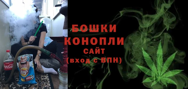 МДПВ Нефтегорск